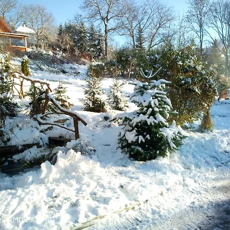 Smile بيت للعطل