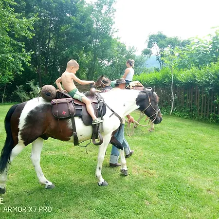 Smile Vakantiehuis Ilija